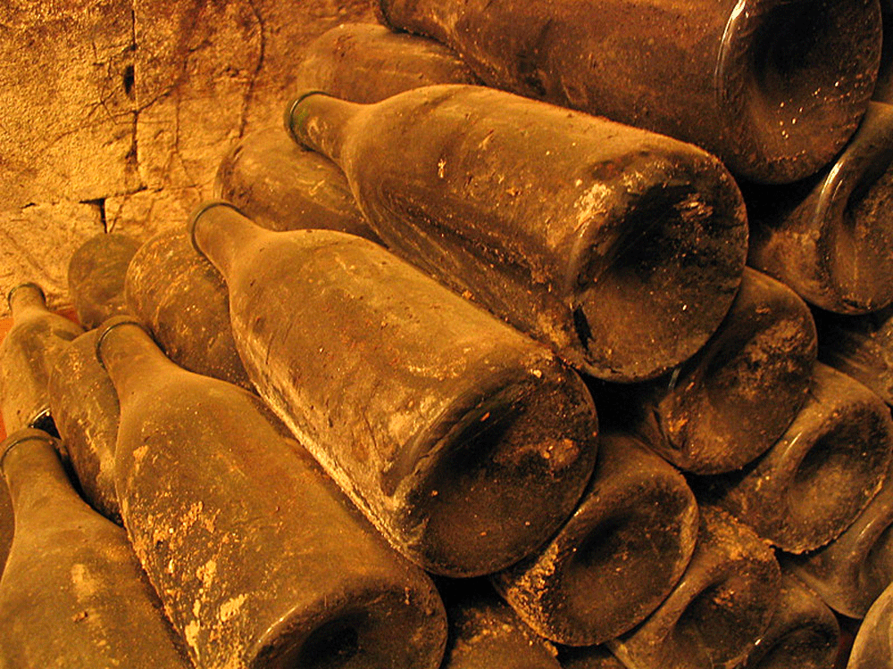 Botellas de vino en bodega