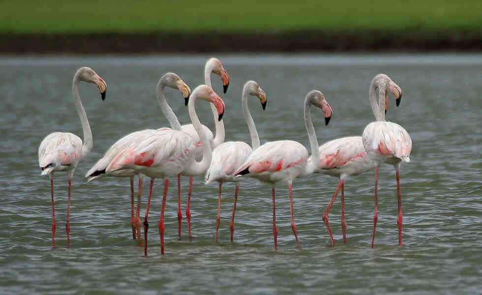 naturaleza-(7)_optimized